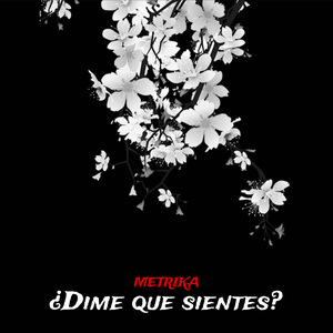 ¿Dime Que Sientes?