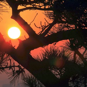 最美不过是朝晖