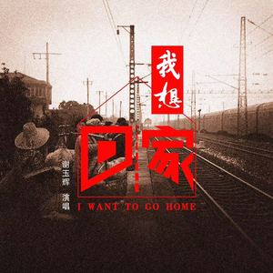 我想回家 (Remix版)