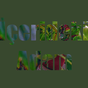 AI (Demo)