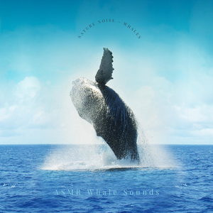 The Arctic Whale Song