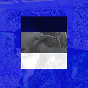 obfuscated