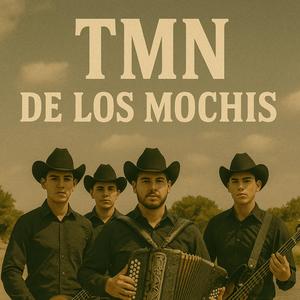 TMN de Los Mochis