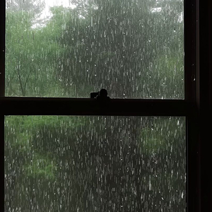 雨下一天，我就看一天