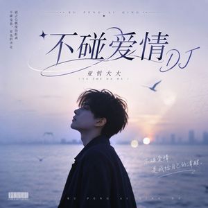 不碰爱情DJ