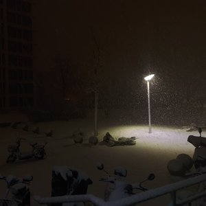 那个女孩的家在陕西的最北边