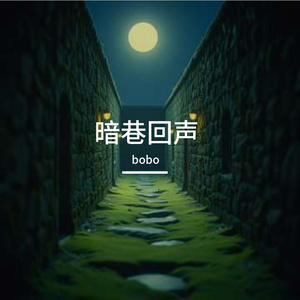 《暗巷回声》_96khz_32bit