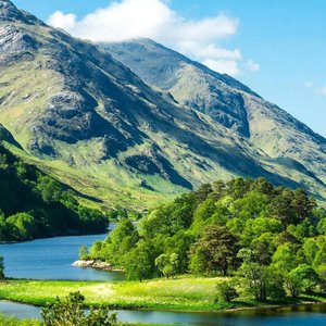 何时葡萄先熟透