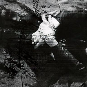 Aquarius After The Le Fou