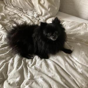 Spolarvätska - En Sång Om Längtan