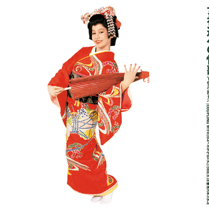 女神達への情歌（報道されないY型の彼方へ）