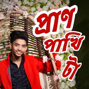 Pran Pakhi Ta