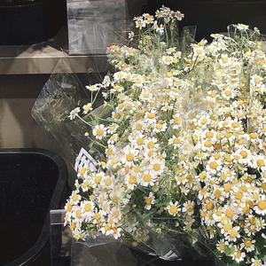 not(Prod.by 4Hunnid)