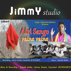 Alvi Sango Vaine Vaine Gondi Song (feat. Kudmetha Badiram & Subodh Walke)