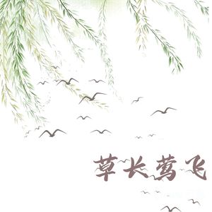 碧波荡漾 (练字)