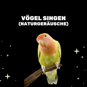 Entspannende Vogelgeräusche