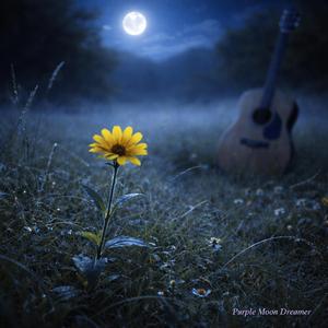 Geel Veldblom (Instrumental Version)