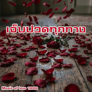 เจ็บปวดทุกทาง