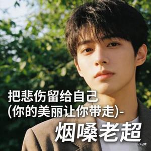 把悲伤留给自己 (你的美丽让你带走)