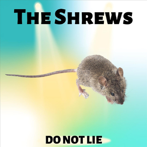 Do Not Lie