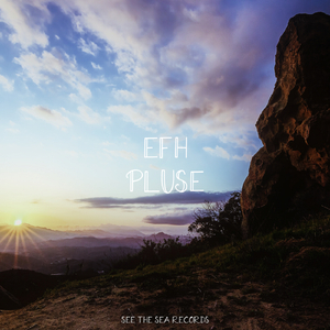 Pluse (Original Mix)