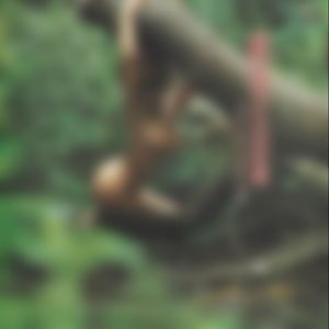 白い色は恋人の色