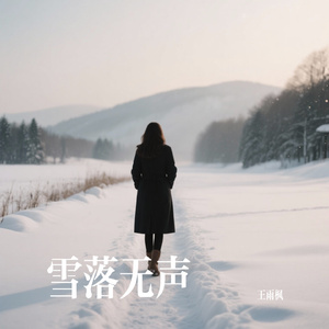 雪落无声