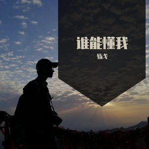 谁能懂我