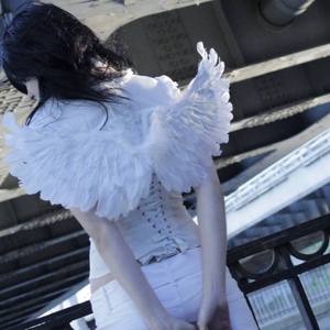 Неразлучники