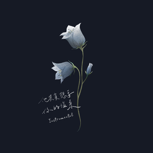 他其实想要你的温柔 (Instrumental)