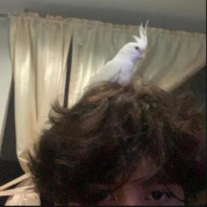 Need u more (feat. chiron)