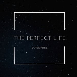 The Perfect Life