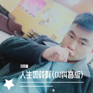 人生如戏啊（DJ抖音版）