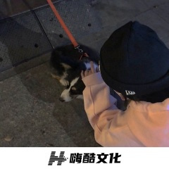 谁玩塞斯狗 (DJ版)