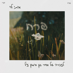 פרח