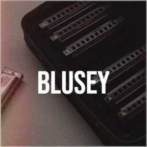 Elvira Madigan Theme