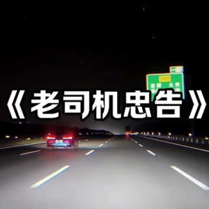 大型纪录片《老司机忠告》