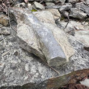 Die Mettwurst im Muschelkalksteinbruch