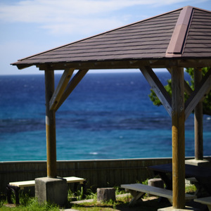 木陰のハンモック