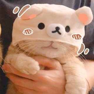 「精选」你也沉溺于其中吗