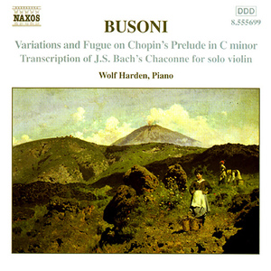 Violin Partita No. 2 in D Minor, BWV 1004: V. Chaconne  (arr. F. Busoni for piano):Violin Partita No. 2 in D Minor, BWV 1004: V. Chaconne (trans. F. Busoni)