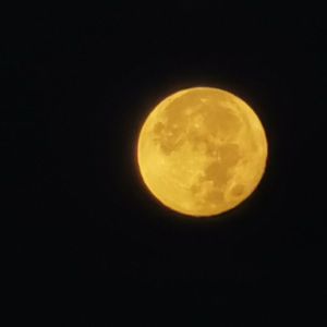 一腔诗意喂了狗（cover 花粥）