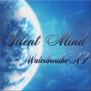 Silent Mind (Original Mix)