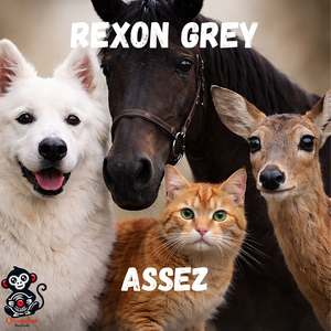 Assez