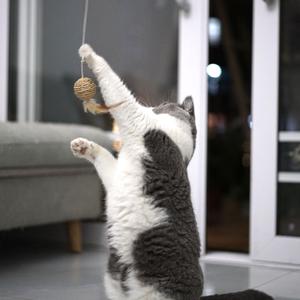 一万次悲伤 吉他伴奏（翻自 逃跑计划）