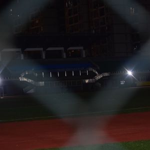 不期而遇的爱情