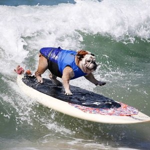 Just a Real Nice Day...