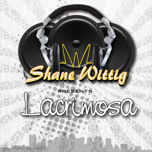 Lacrimosa (Lost Shadow Remix)