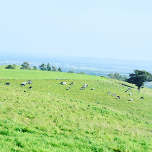 こころの歌を歌おう