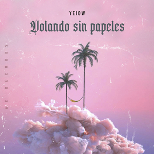 Volando Sin Papeles